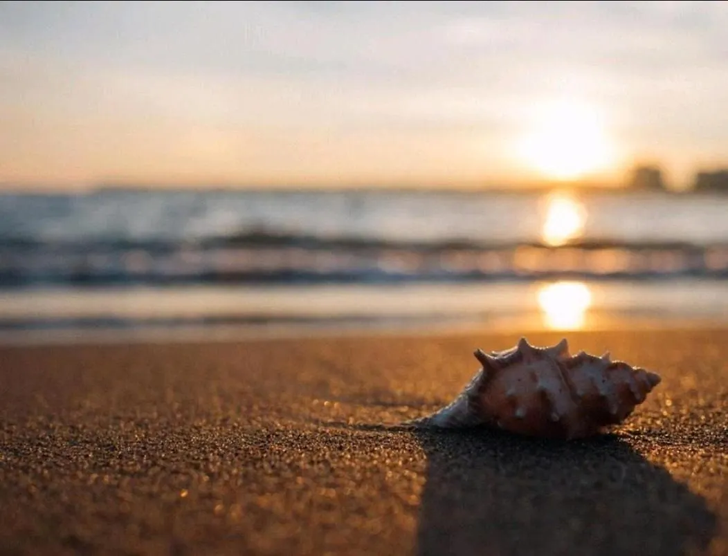 Apartamento Huelin House Beach&Sun  Málaga España